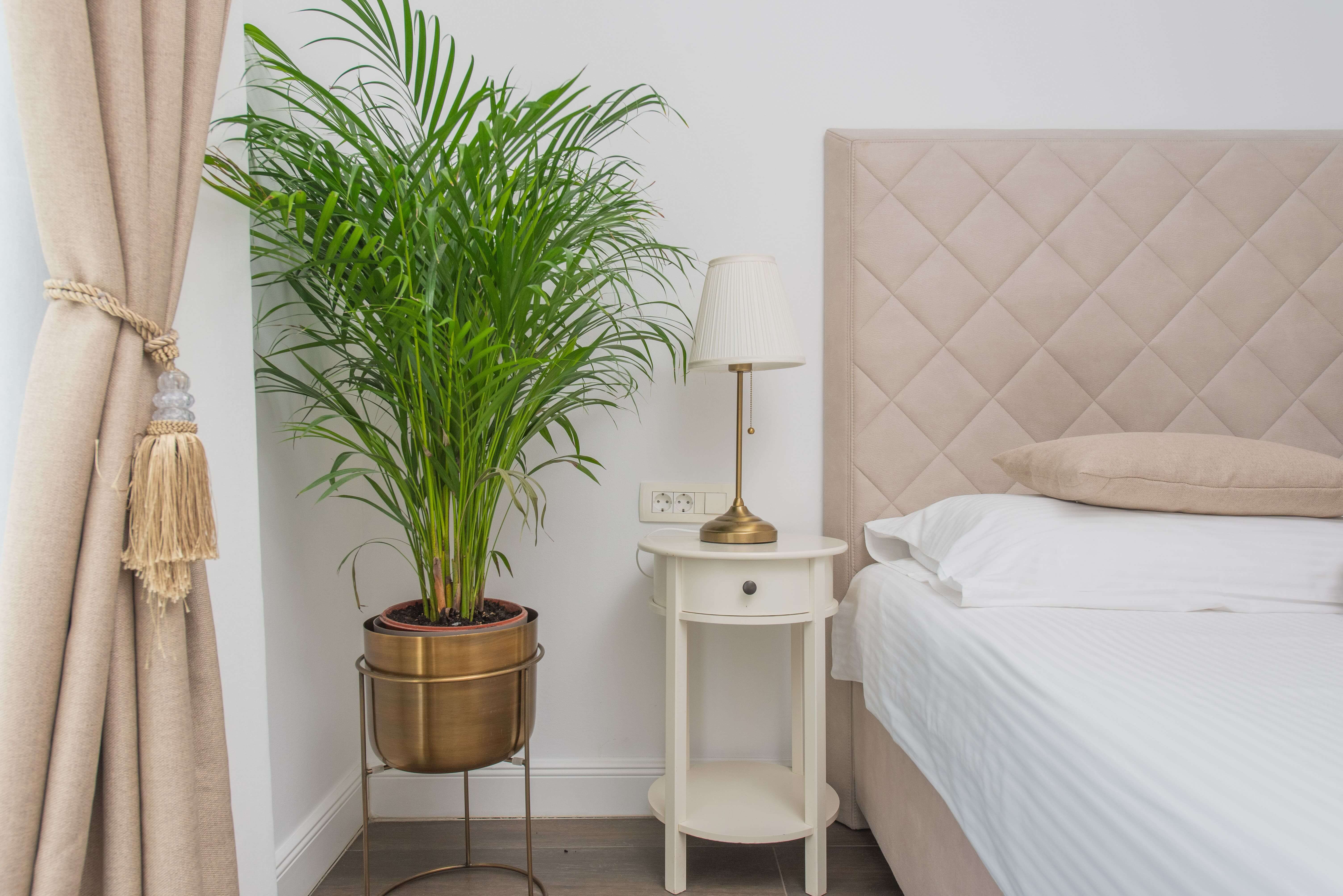 Zimmer 304 & 305 mit Doppelbett — Foto 4